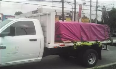 TRAILERS Y  CAMIONES  ORUGA  S image 3