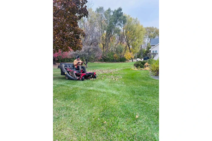 M & Sons Lawn And Landscaping image 8