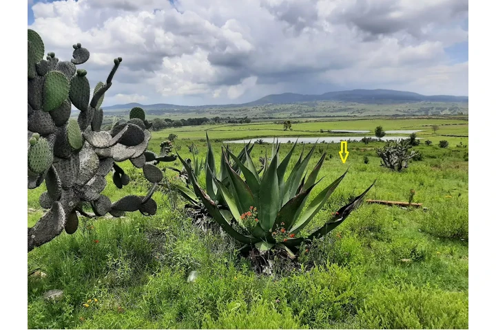$643500 : TERRENO P/ CABAÑA CERC AMEALCO image 4