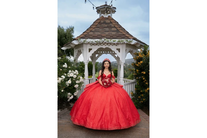 BANQUET HALL,FOTO&VIDEO $2,400 image 5