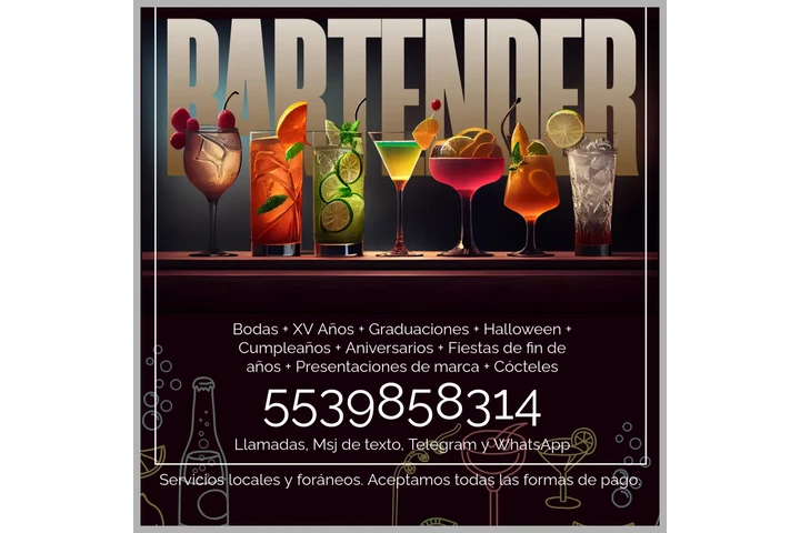 BARTENDER Y BARRAS LIBRES image 1