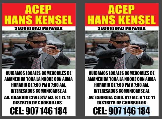 AGENTES DE SEGURIDAD CON ARMA image 1