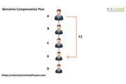 Monoline Compensation Plan en New York