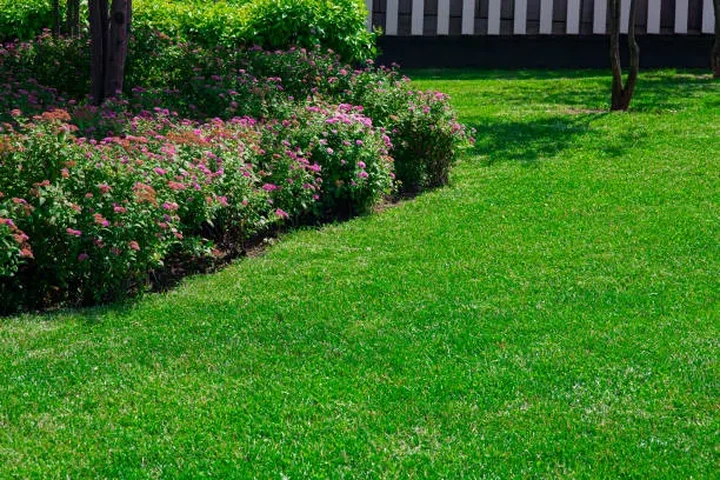 GreenHill garden services image 1