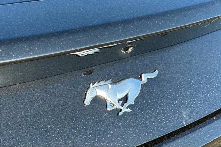 $32000 : Ford Mustang 2026 EcoBoost P image 6