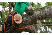 E&A Tree Service Inc.