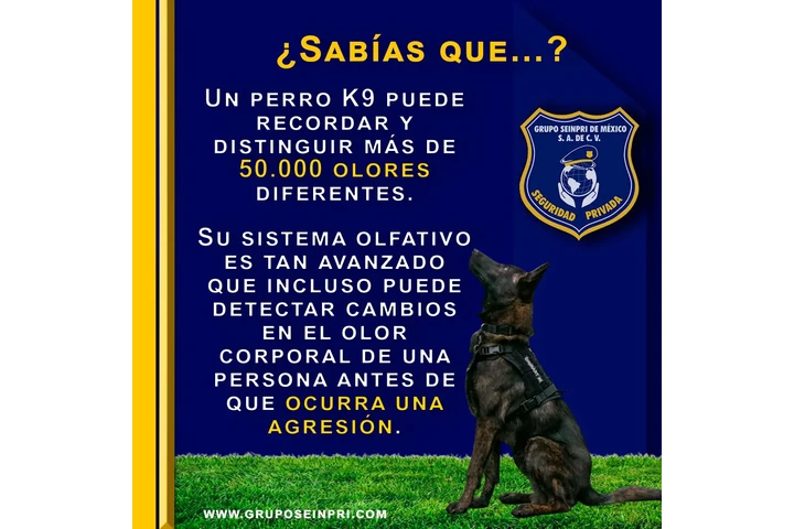“Tus guerreros guardianes”. image 1