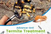 Termite Control100%Garantizado thumbnail