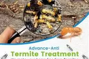 Termite Control100%Garantizado en Los Angeles