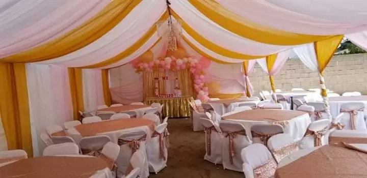 Arco carpas con telas y mas image 1