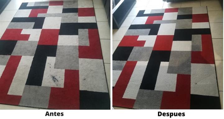 Limpieza de Alfombra Hialeah image 2