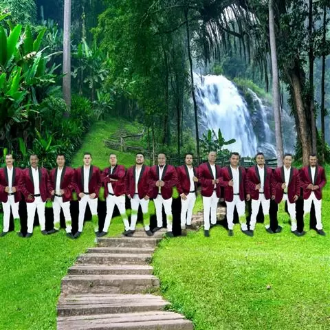 BANDA AMAPOLA image 1