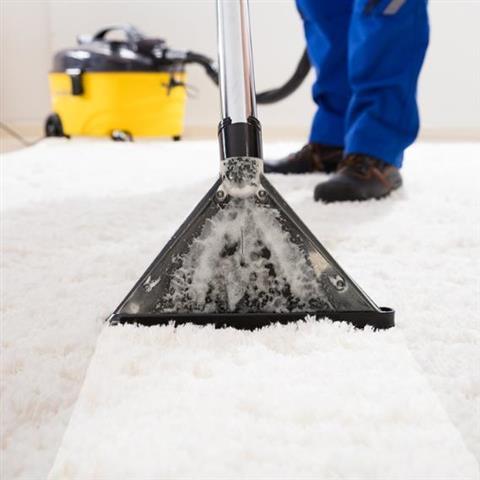 CARPET CLEANING image 5