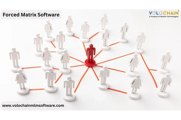 Forced Matrix Software Tools image 1