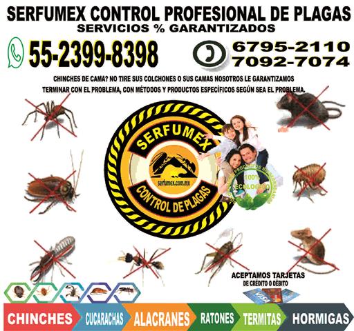 SERFUMEX CONTROL DE PLAGAS image 1