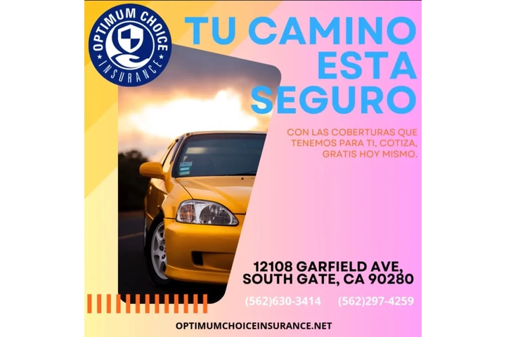 AUTO INSURANCE Y REGISTRACION image 1
