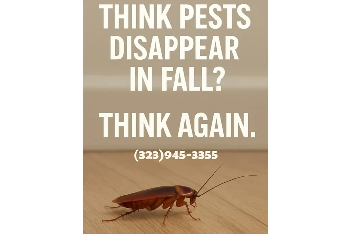 FUMIGATION - LOCAL TREATMENTS image 10