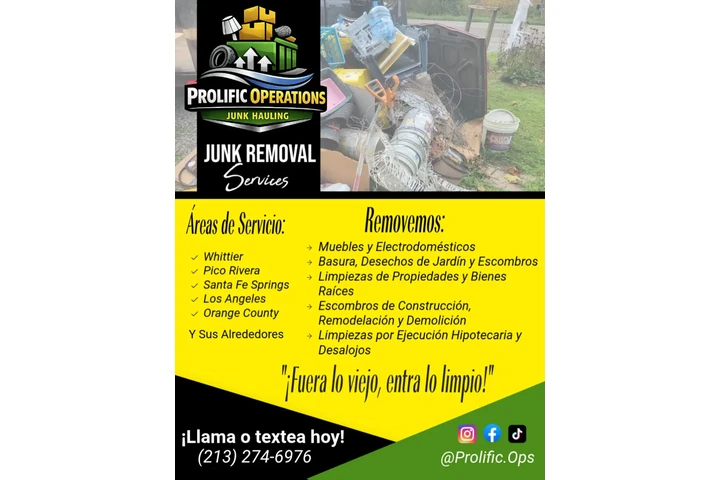 JUNK HAULING/REMOCIÓN DE BASUR image 2