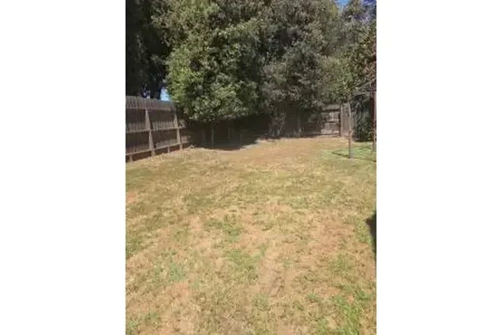 LIMPIEZA PROFESIONAL image 8