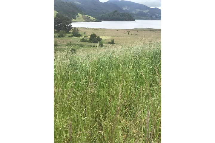 $250000 : Lote frente la represa de neus image 2