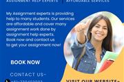 Assignment Experts In The USA