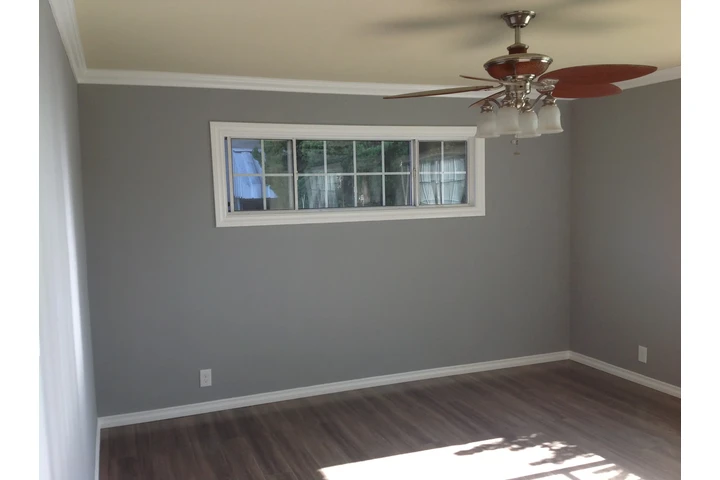 Pintor de casas 🏠 image 3