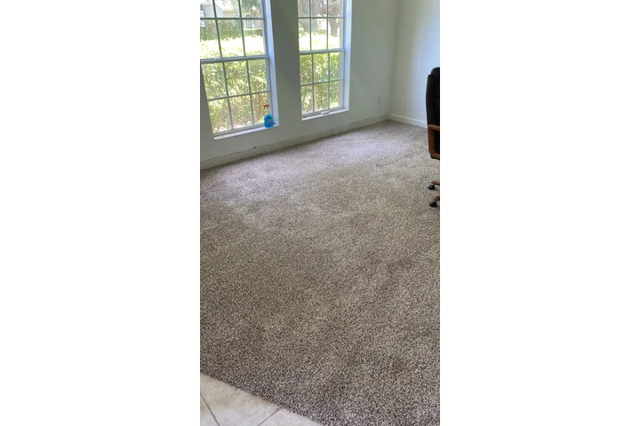 Carpet image 5