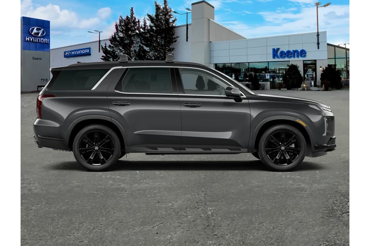 $33995 : Hyundai PALISADE 2023 AWD XR image 9