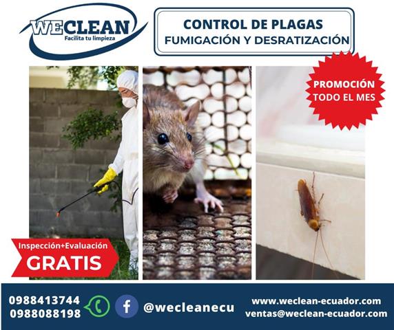We Clean Quito Ecuador image 4