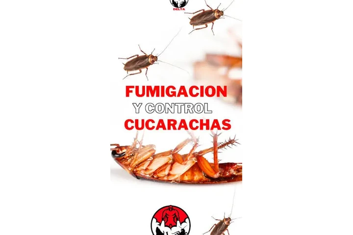 SERVICIO DE FUMIGACION image 2