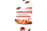 SERVICIO DE FUMIGACION thumbnail