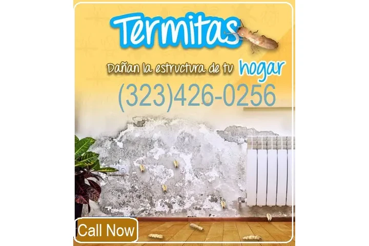 FUMIGACIONES TERMITAS 24/7 image 4