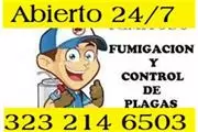 FUMIGACION 100% GARANTIZADO$49