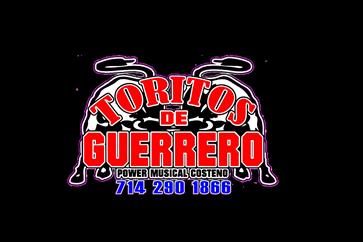 Toritos De Guerrero image 8