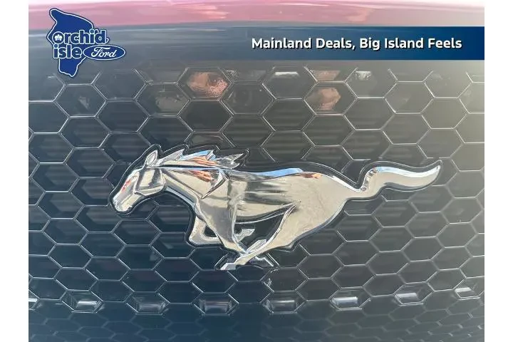 $36981 : Ford Mustang 2019 GT Premium image 10