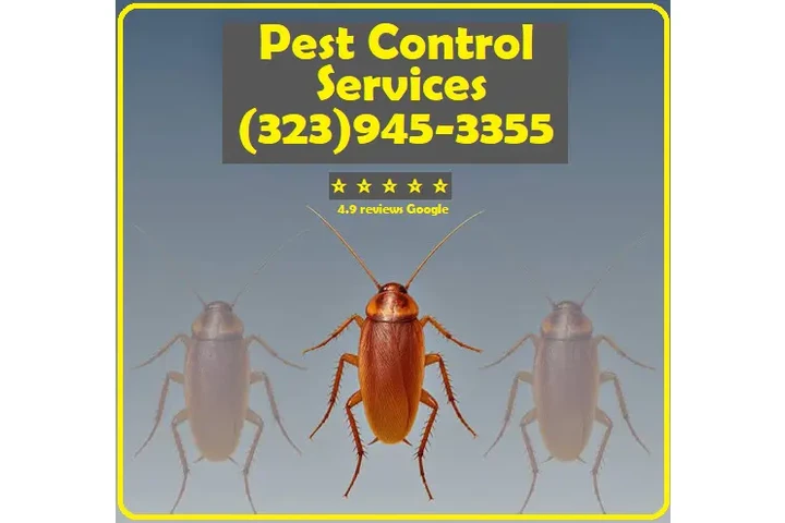 PEST CONTROL SERVICES⭐⭐⭐⭐⭐L.A. image 1
