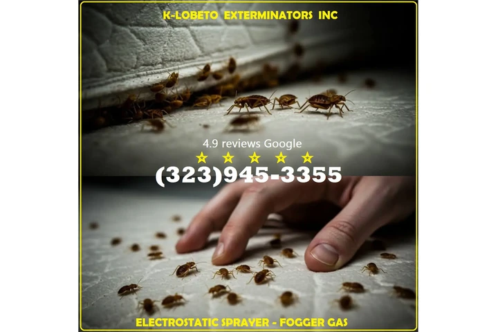 PEST CONTROL SERVICES⭐⭐⭐⭐⭐L.A. image 5