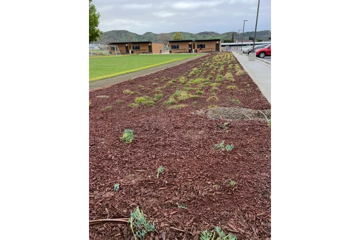 Professional Landscaping image 3