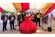 Mariachi Los Gallitos For Hire thumbnail