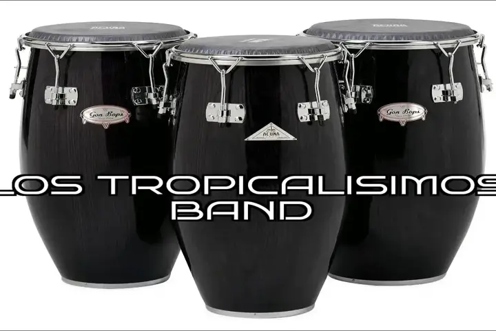 LOS TROPICALISIMOS BAND image 1