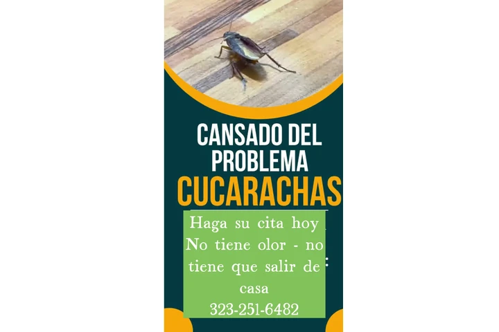 SERVICIO DE FUMIGACION image 1