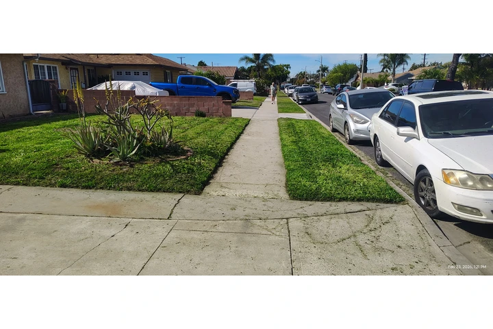 $35 Corte de Pasto $35 image 2