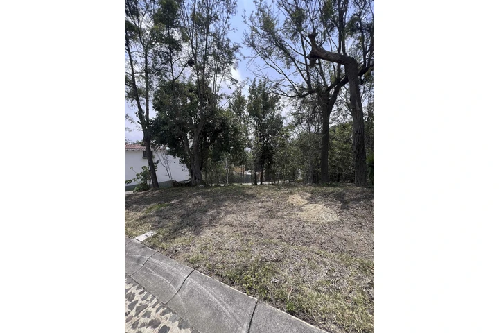 $97000 : Terreno en Antigua Gardens image 6