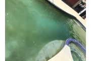pool service thumbnail