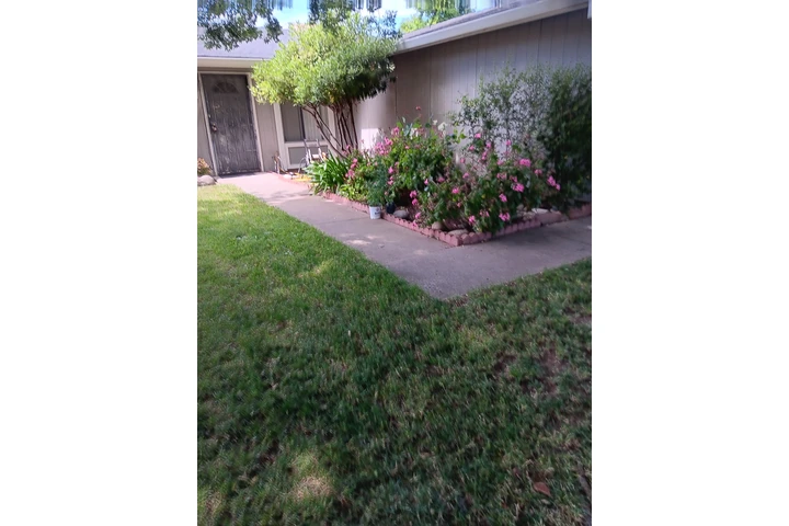 Jardinero image 5