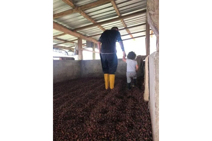 $390000 : Se vende hacienda 78ha Bolivar image 6