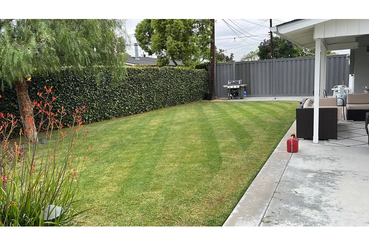 I offer my gardening services image 5