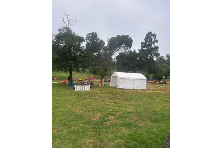 Renta de jumpers image 7