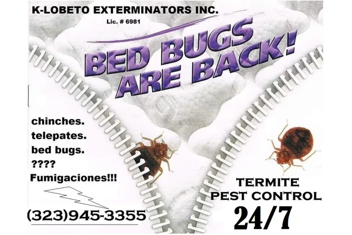 PEST CONTROL SERVICES 24/7.- image 6
