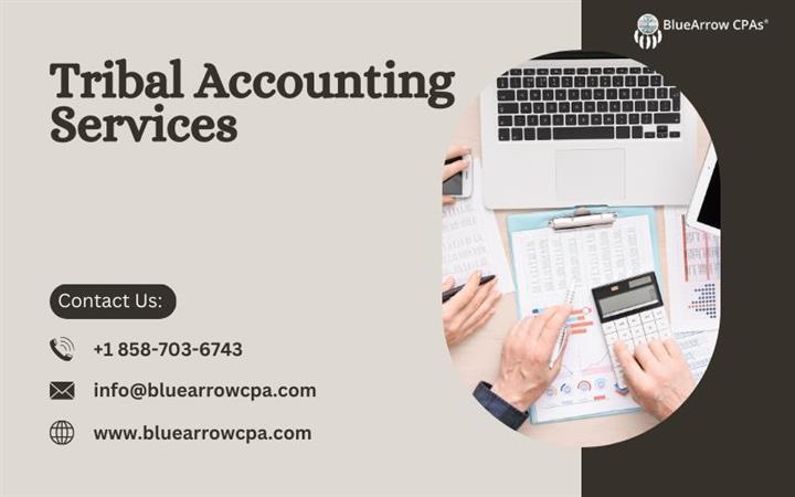 Tribal Accounting Services image 1